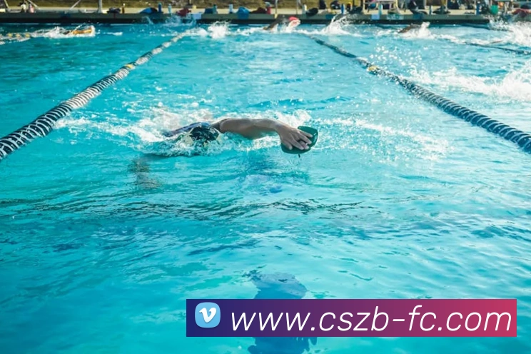 彩神争霸发展历程